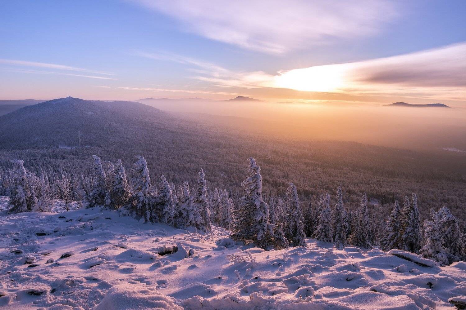, Андрей Шарапов