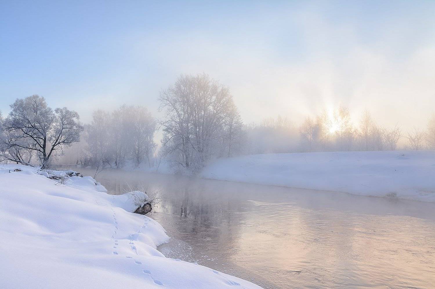 , Анатолий Зверев