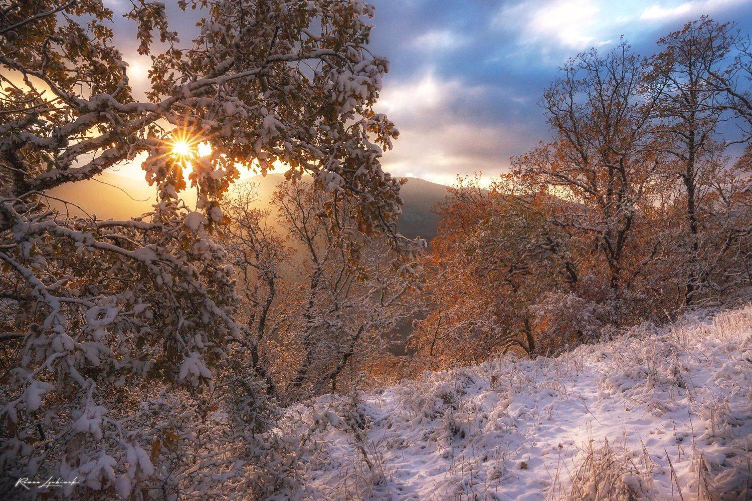 крым, снег, солнце, пейзаж, роман любимский, Роман Любимский