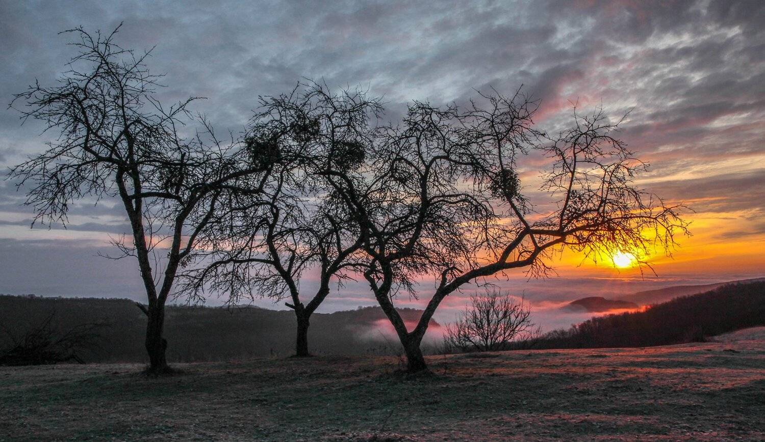 горы,зима,просторы,дагестан, Marat Magov
