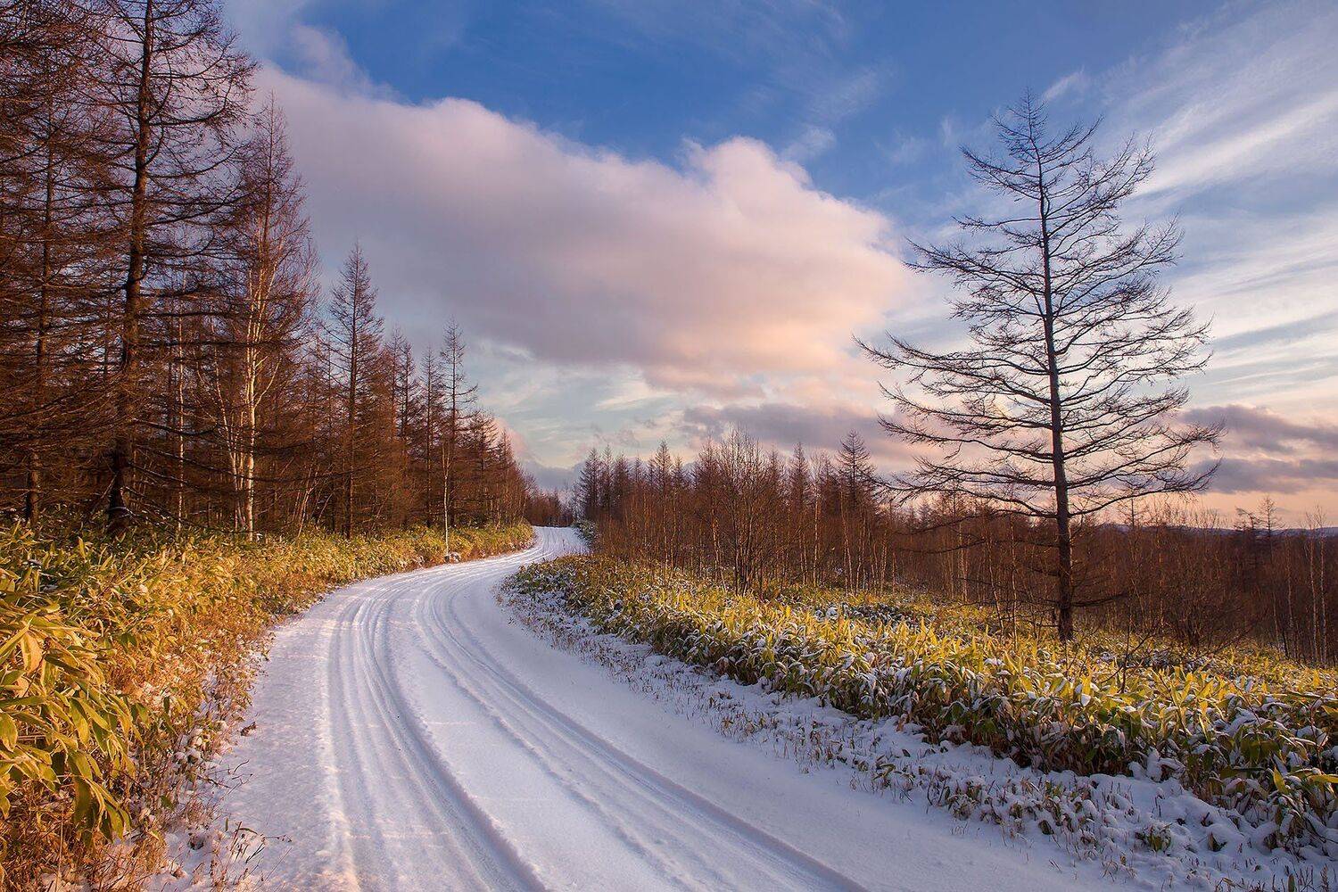 , Артем Удодов