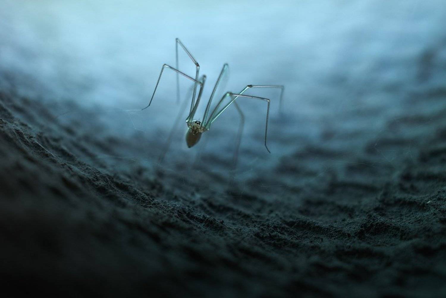 macro,макро, Евгений Лукашук