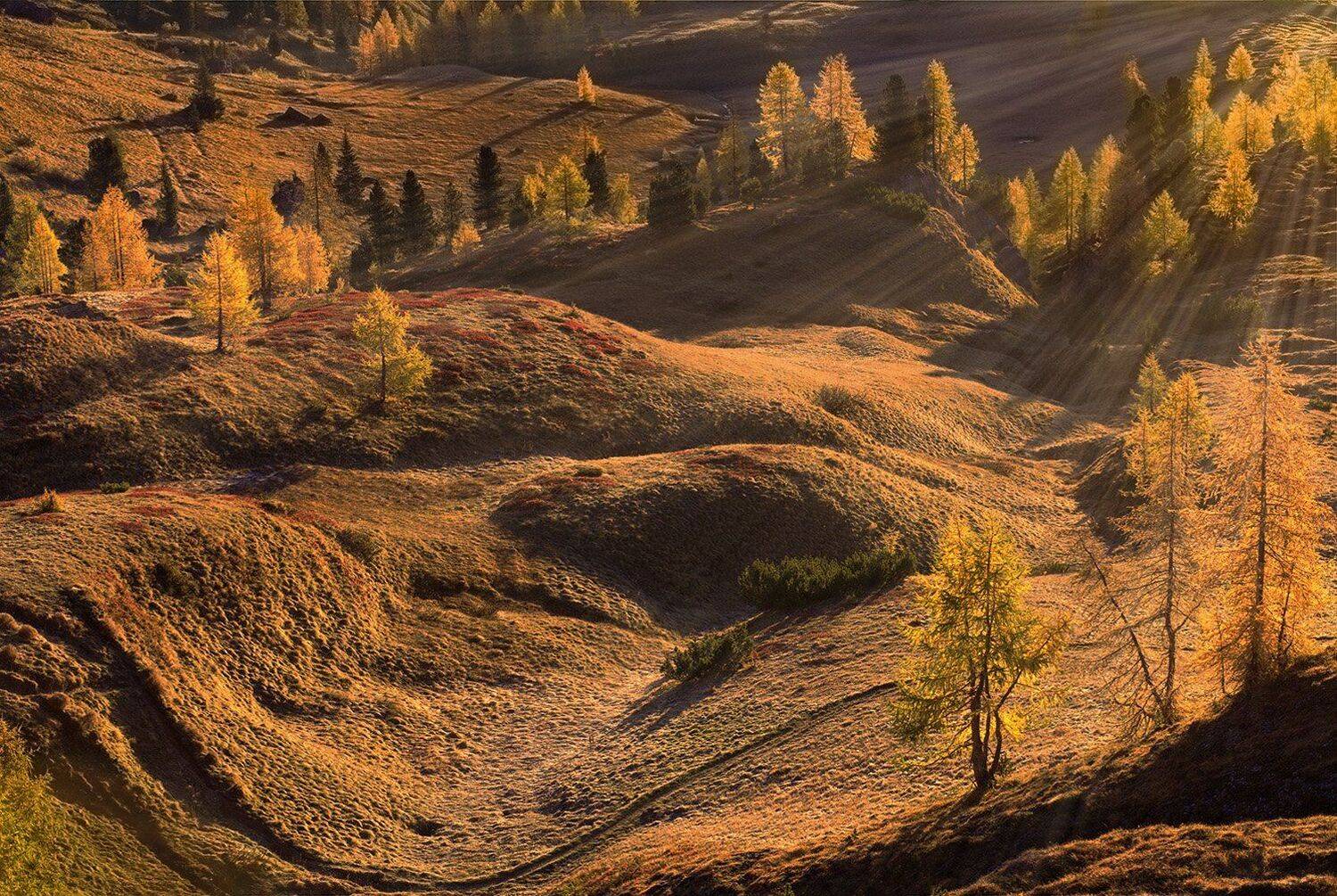 , Игорь Дубровский