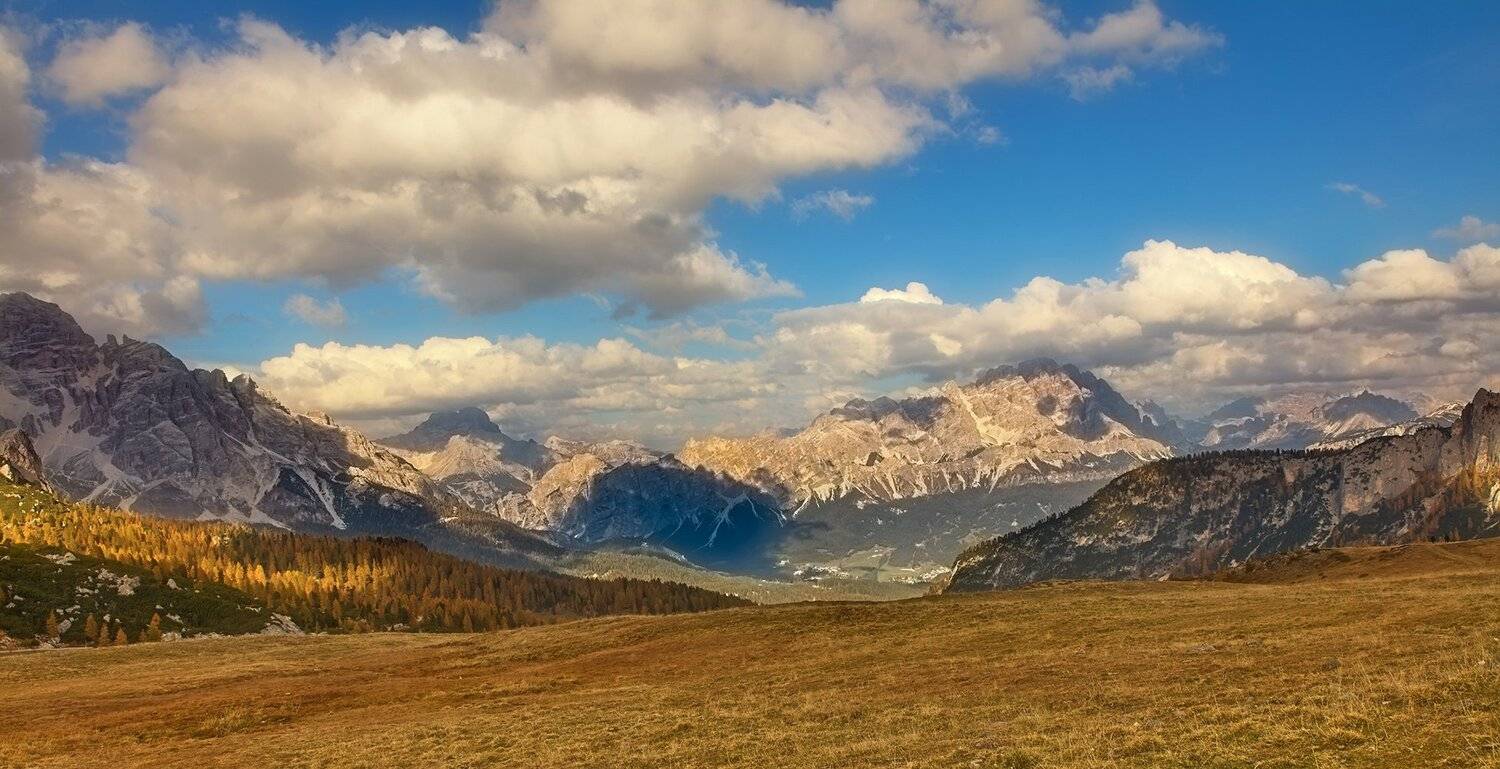 , Игорь Дубровский