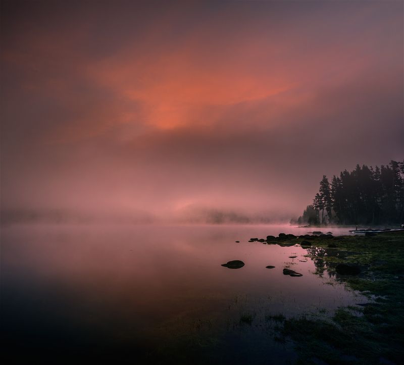 Meeting Dawn фото превью