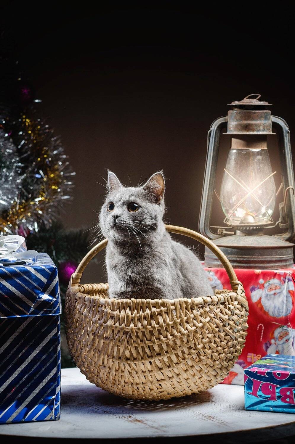 , Вячеслав Владимирович