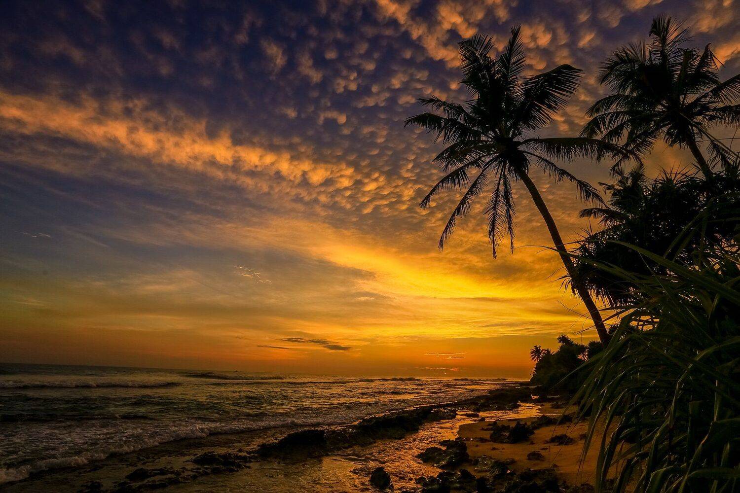 ланка, море, закат, цейлон, Сергей Найбич