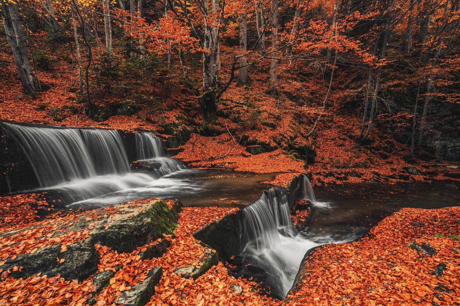 , Костадин Маджаров