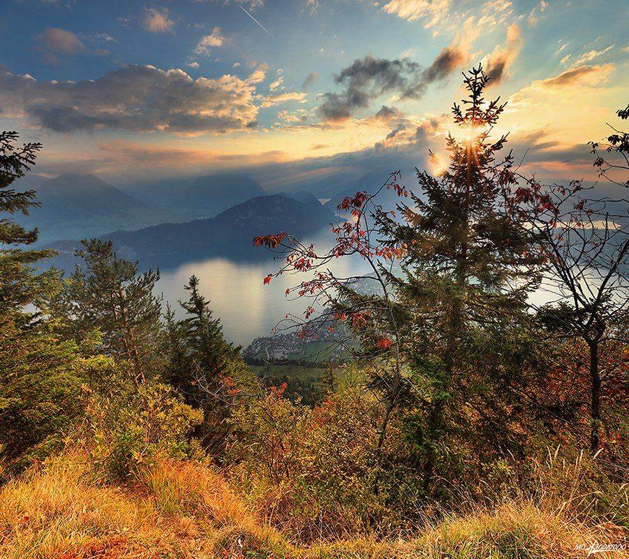 swiss, Матвеев Николай