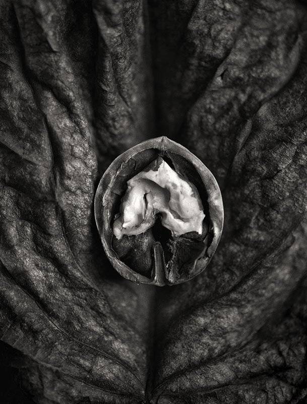 , Наиля Гарифуллина