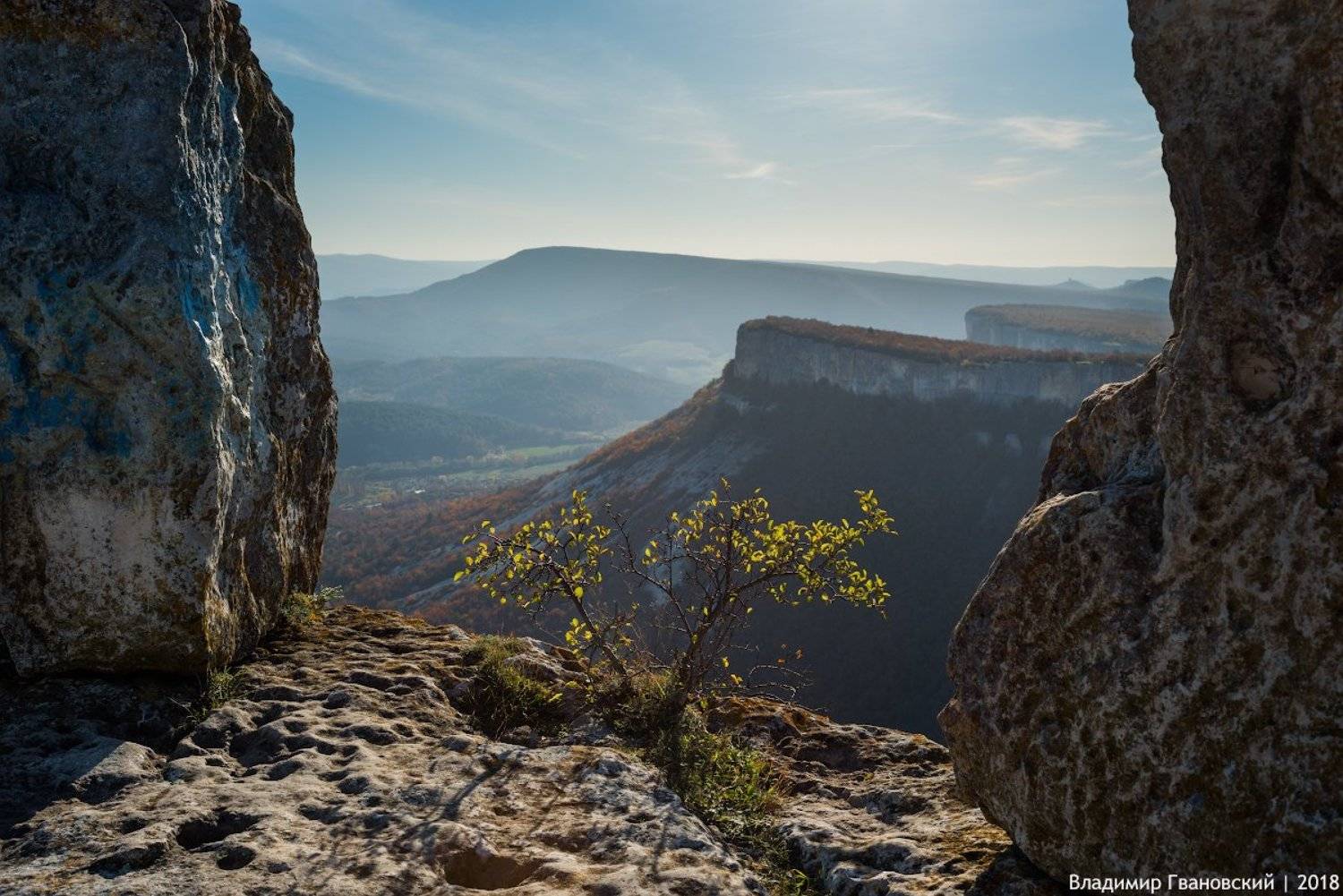 , Гвановский Владимир