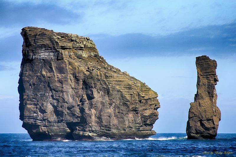 Антарктида 28 фото превью