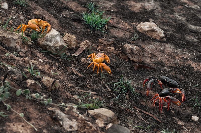 Трудный путь фото превью