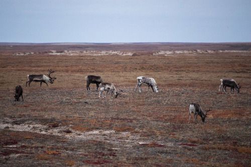 Палитра осени