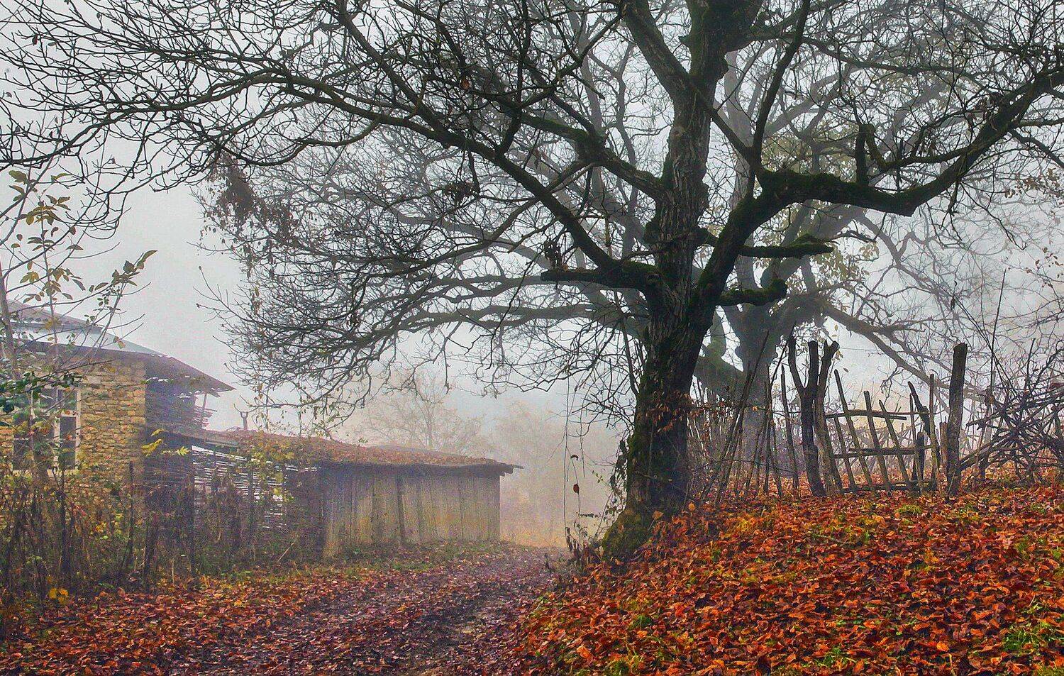 горы,осень,природа,дагестан,село, Marat Magov