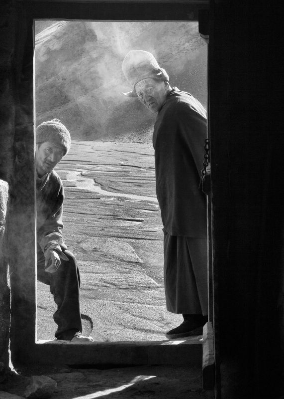 Lama фото превью