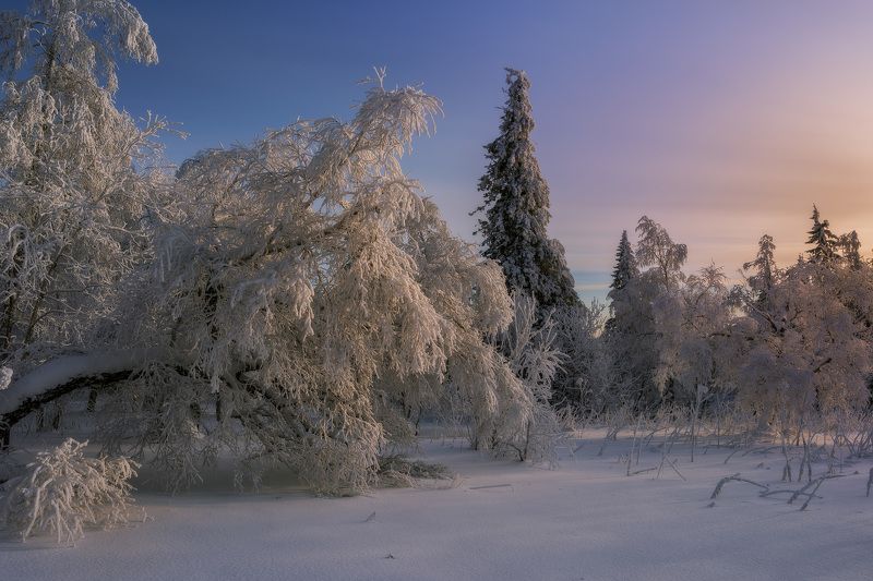 ******* фото превью