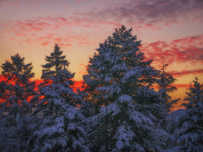 Зима фото превью