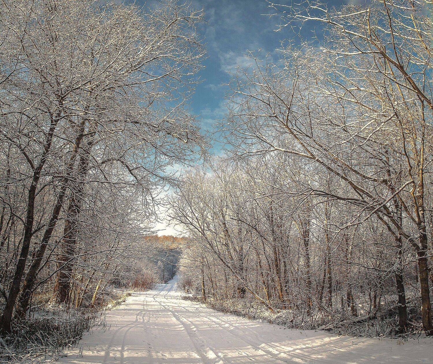 , Артем Удодов