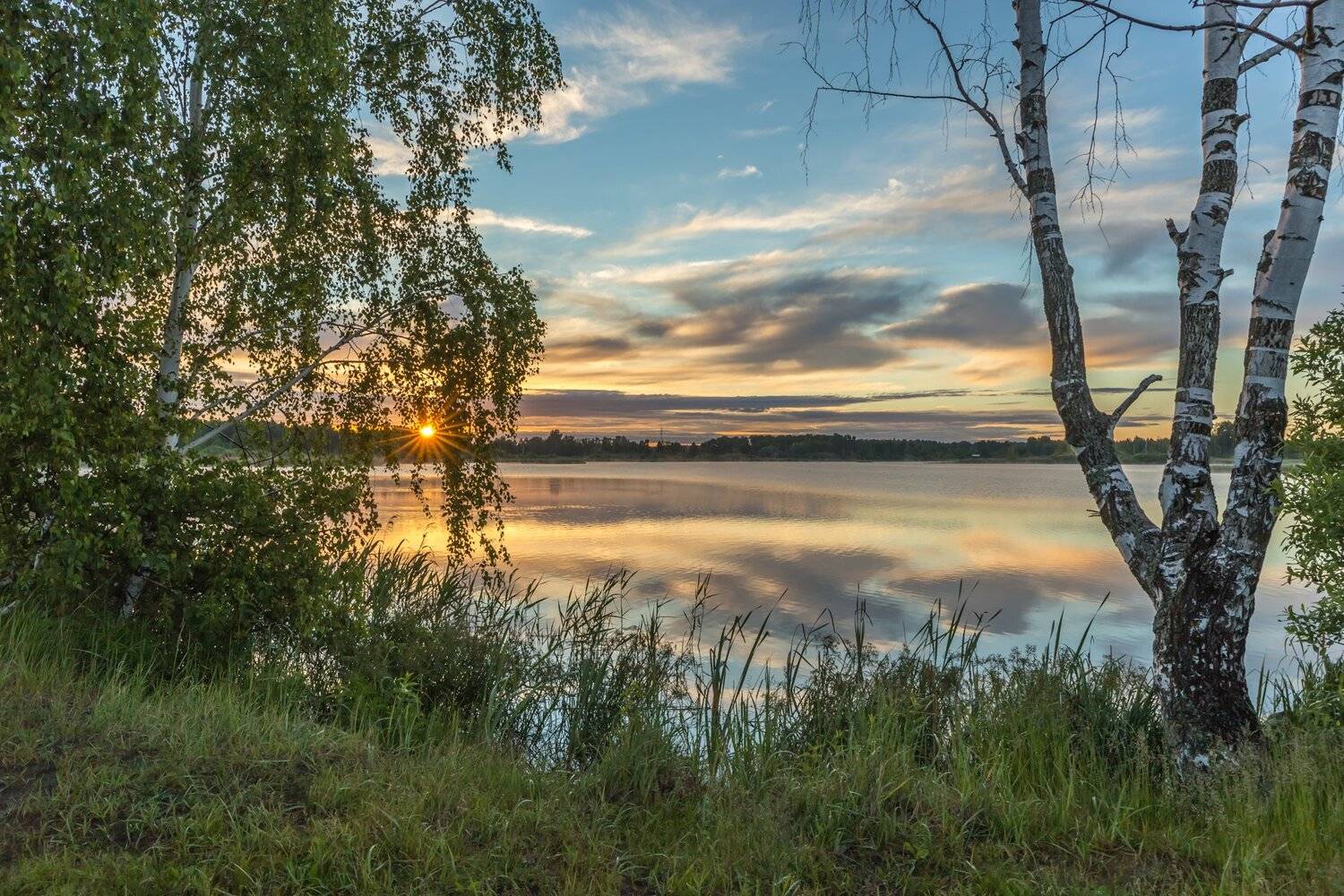 утро, рассвет, озеро, лето, дерево, солнце, Евгений Патрешов