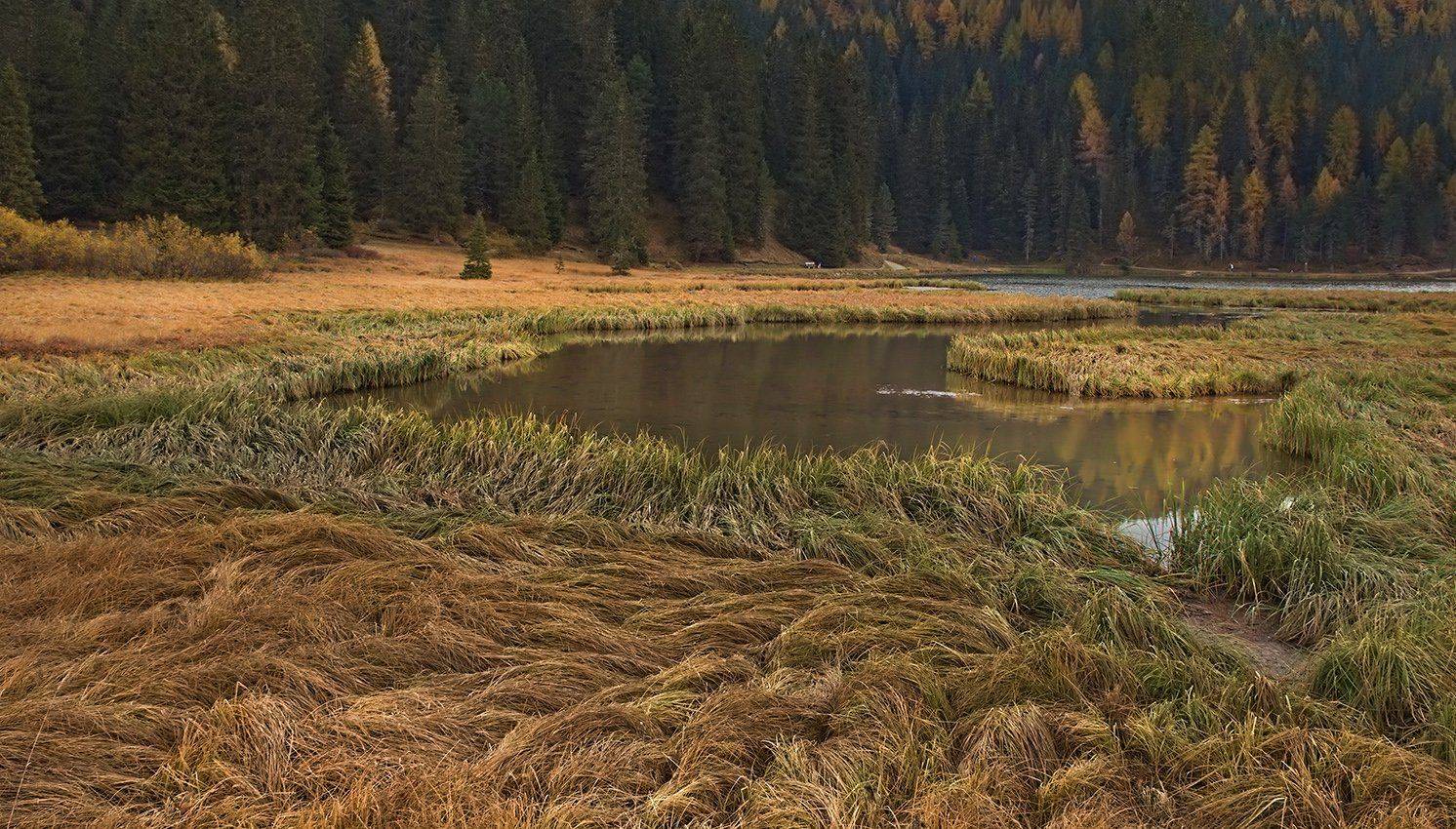 , Игорь Дубровский