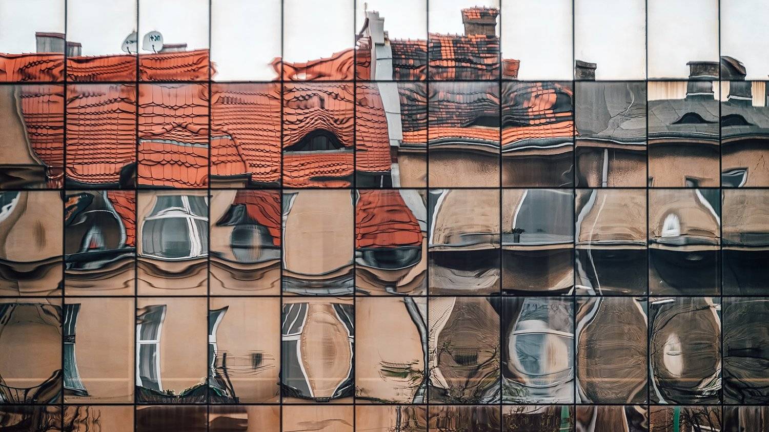 , Piotr Ryba Rybicki