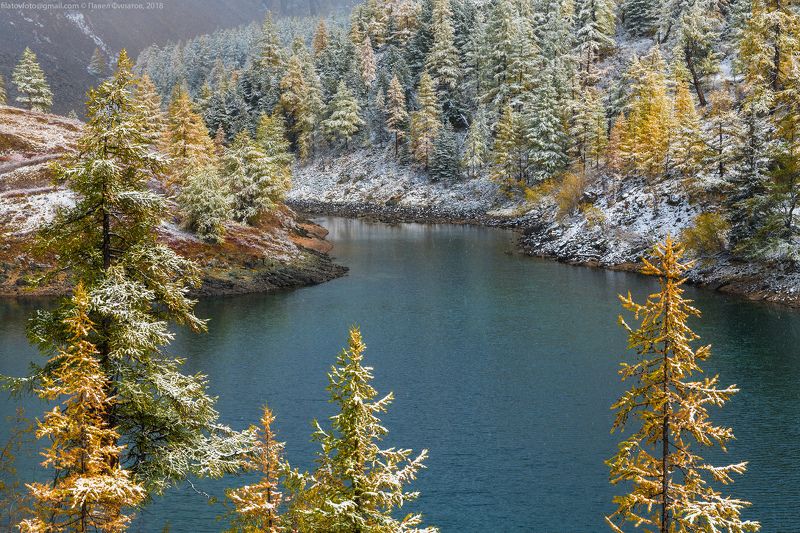 алтай, сибирь, осень, куэктанар Куэктанарская осень фото превью