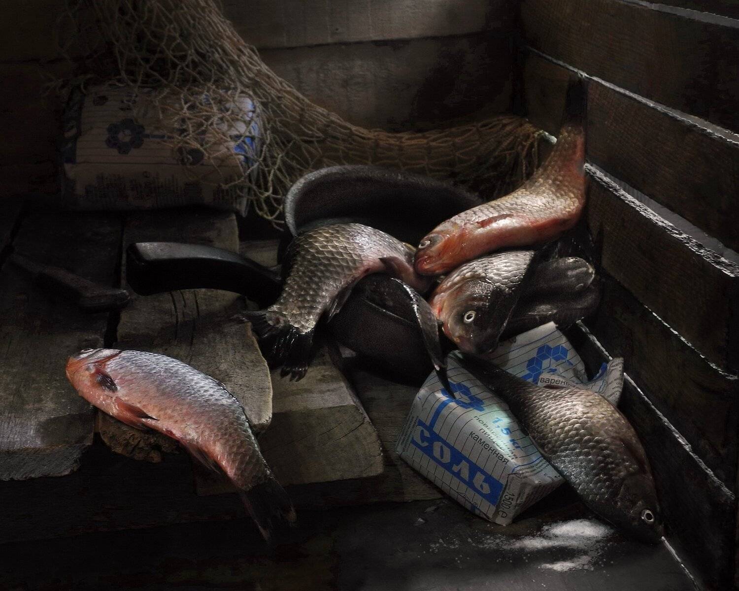 карась рыба рыбак натюрморт, Сергей Фунтовой