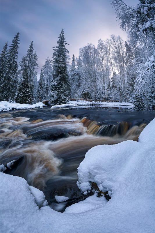 карелия, рускеала, тохмайоки, зима Зимнее утро на берегу реки Тохмайоки фото превью