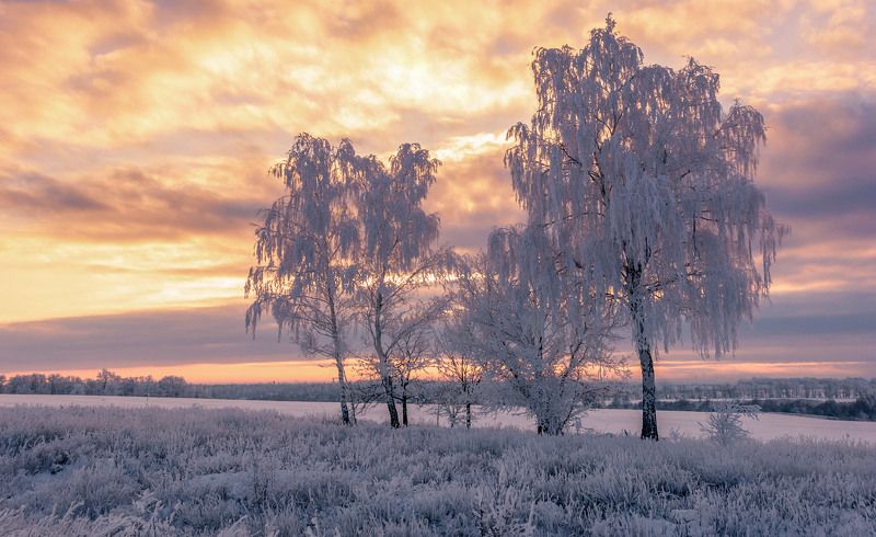 украина, ukraine, харьков, kharkov, kharkiv Утро на Харьковщине. фото превью