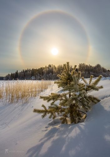 Солнечное гало на Ладоге