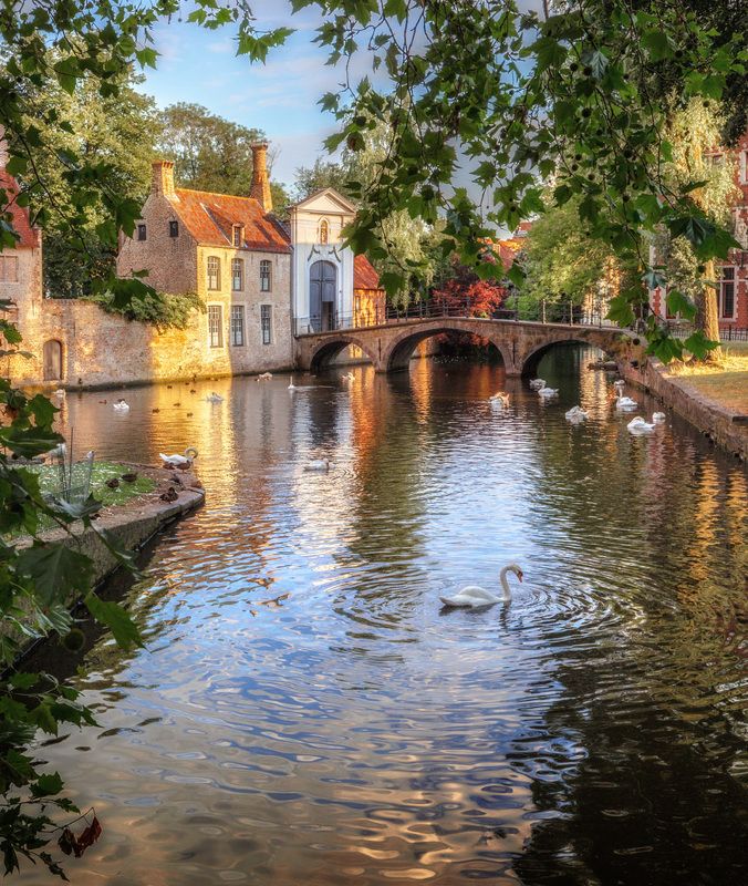 брюгге, бельгия, brugge, bruggies Озеро любви. Брюгге. фото превью