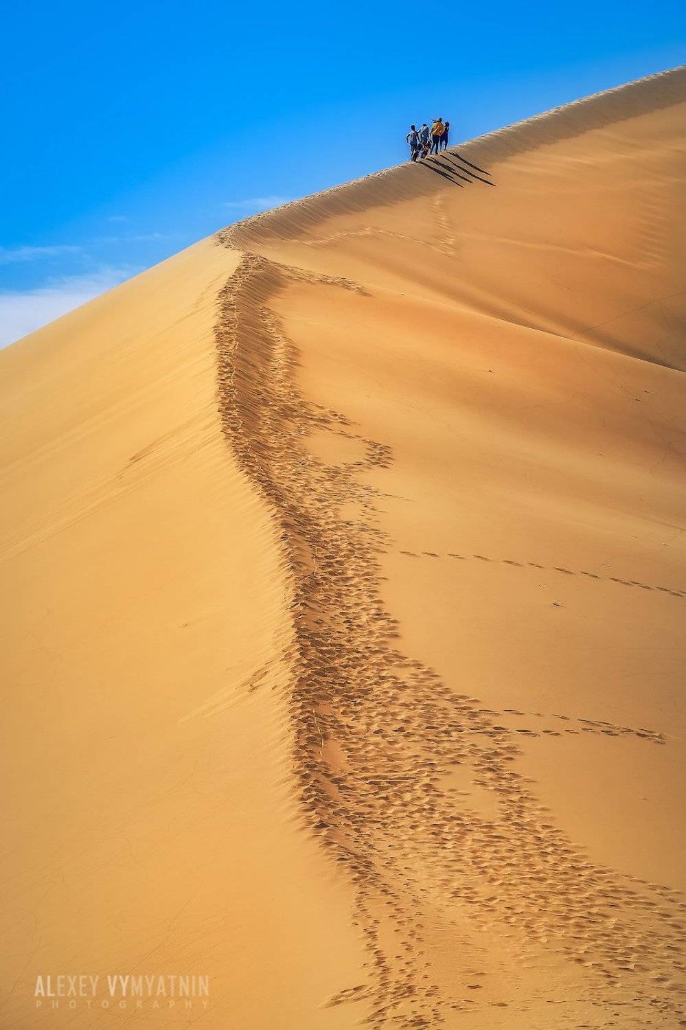 , Алексей Вымятнин