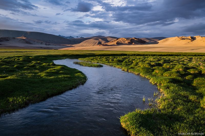 монголия, горы, алтай, закат, ручей, природа, пейзаж, лето, mongolia, mountains, altai, sunset, stream, nature, landscape, summer Горный ручей фото превью
