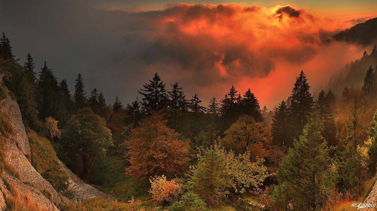 swiss, Матвеев Николай