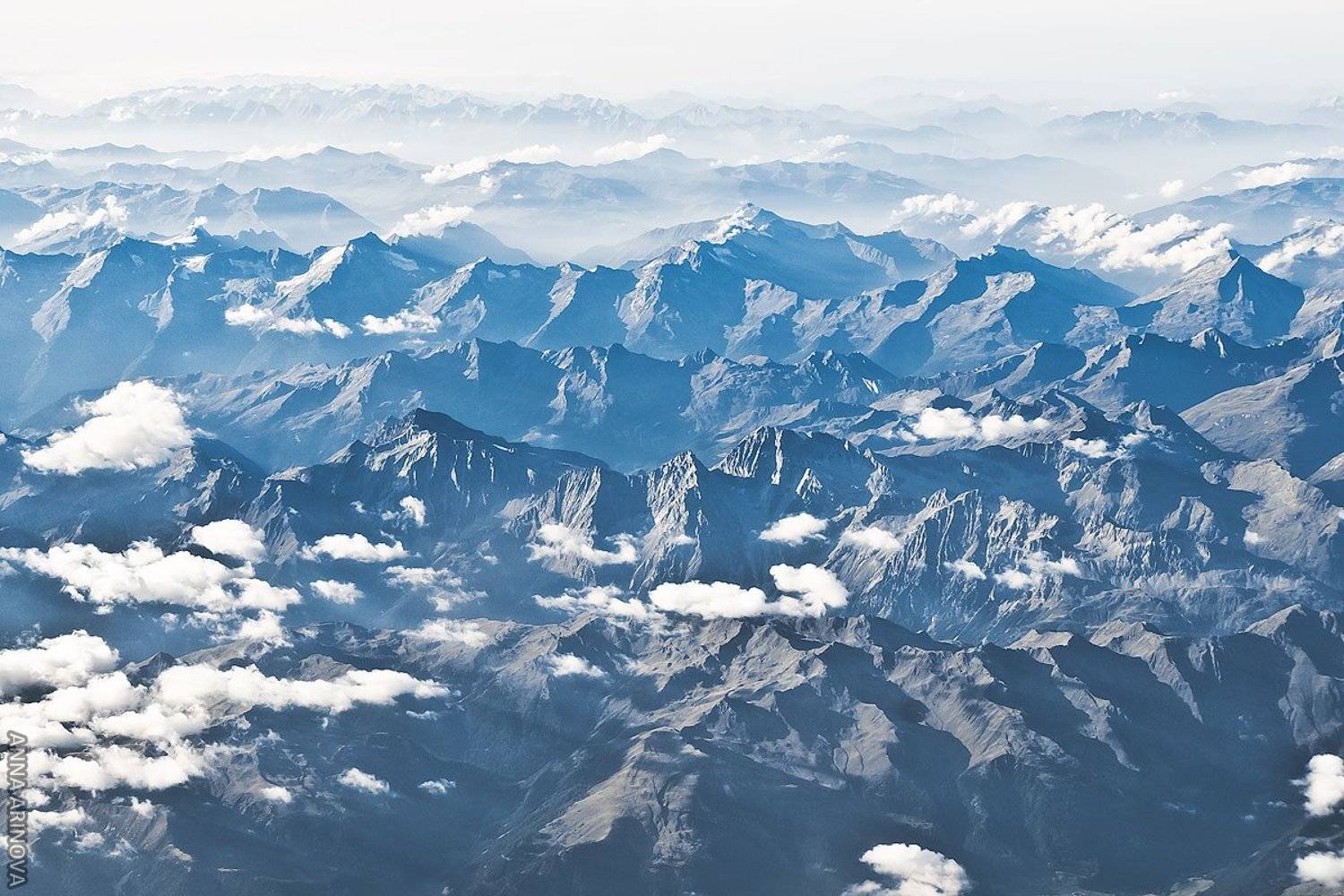 , Анна Аринова