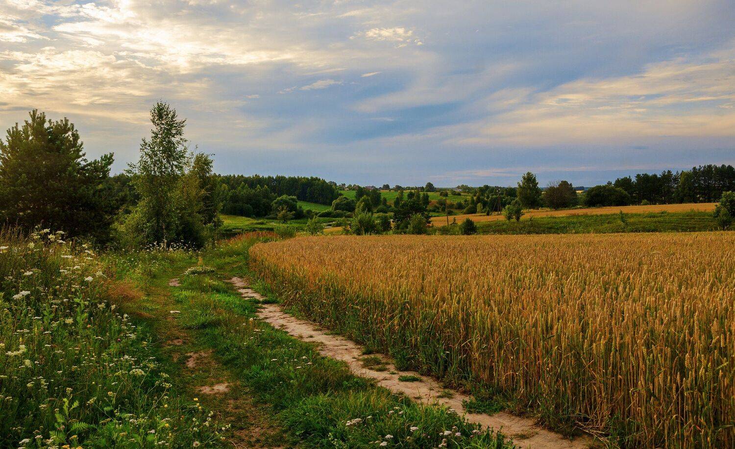 nevant60, пейзаж, красота, небо, Александр Березуцкий