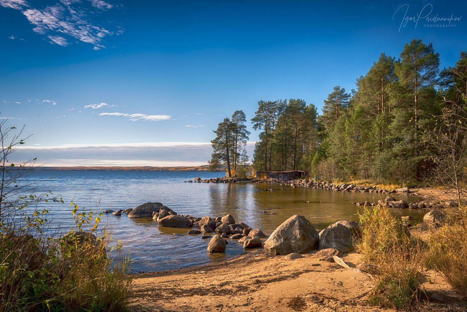 , Игорь Приданников