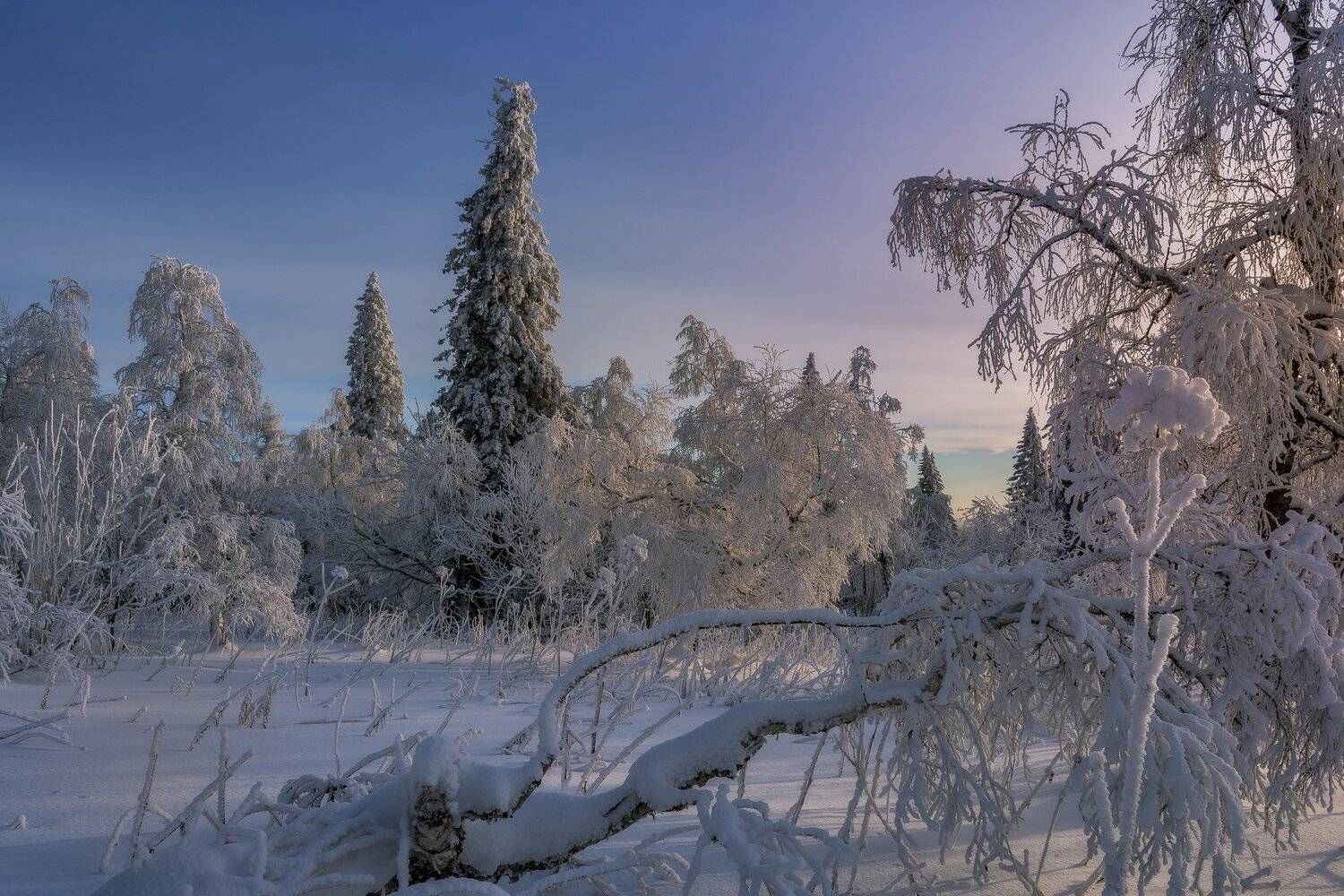 , Андрей Шарапов