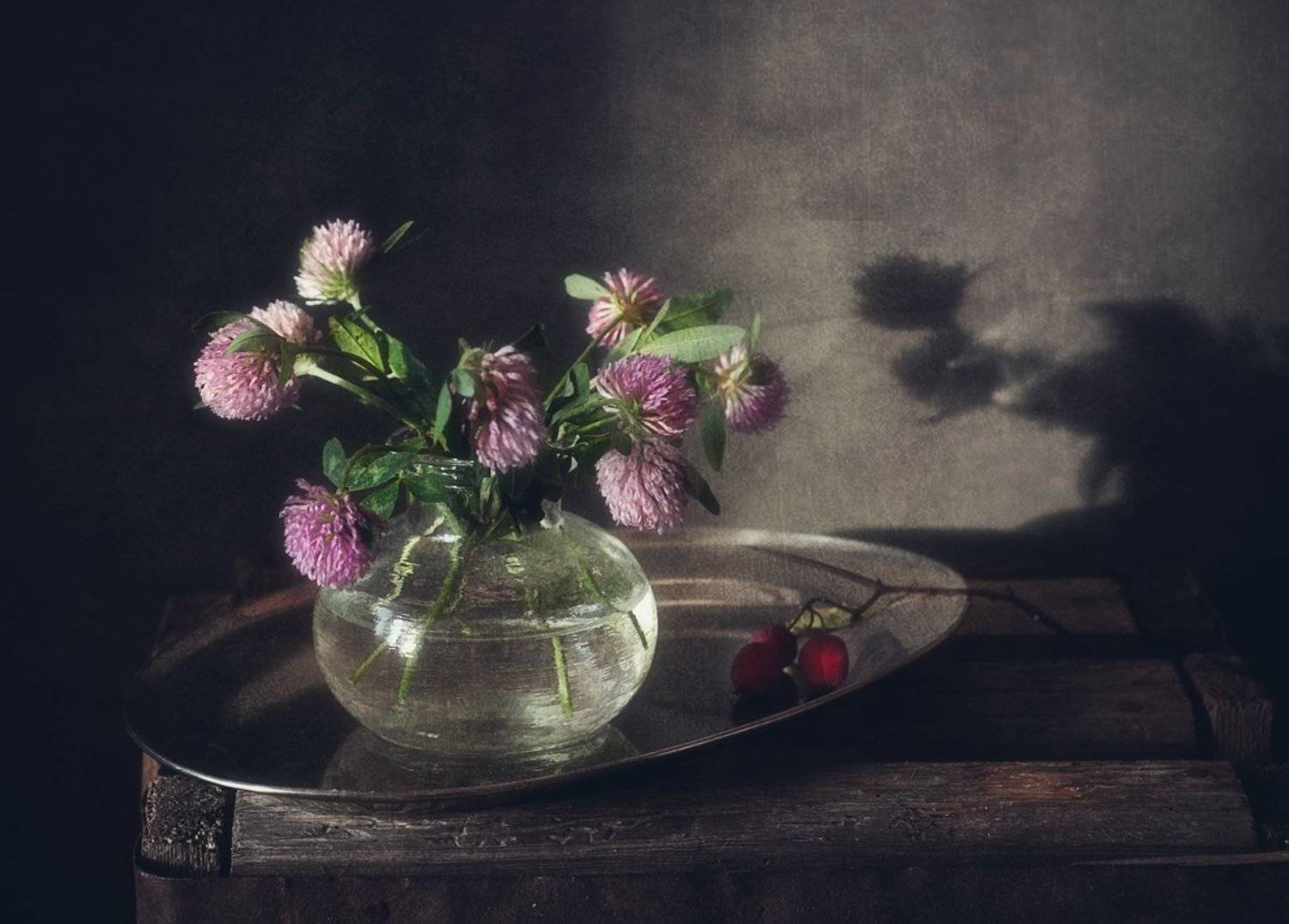 натюрморт,клевер,цветы, Наталия К