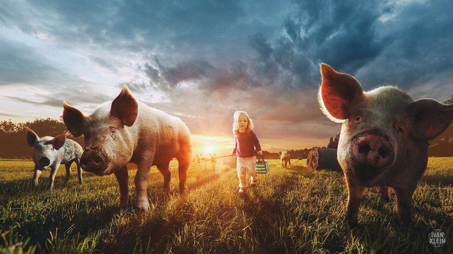свинья,свиньи,поросенок,животное,животные,ребенок,девочка,детство,пастух,природа,закат,фотоарт,коллаж,фотоманипуляция,photomanipulation,digitalart,art,collage,mattepaint,, Иван Клейн