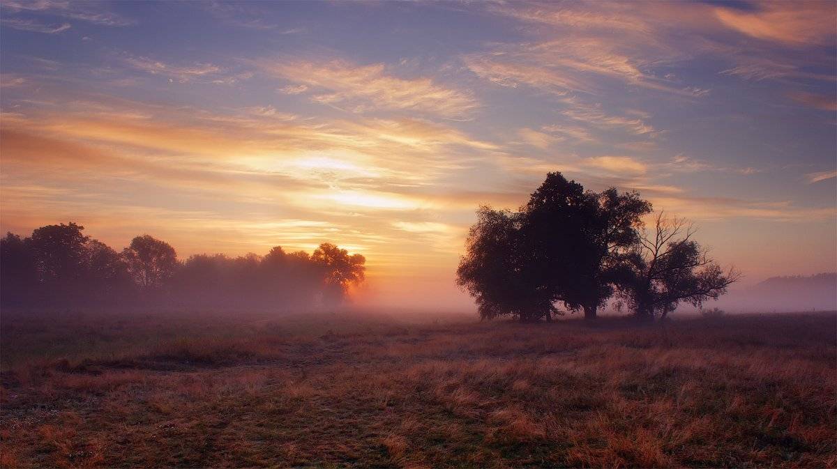 рассвет, туман, утро, небо, dawn, fog, morning, sky, Виктор Тулбанов