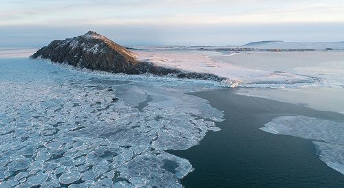 Остров полярных медведей...