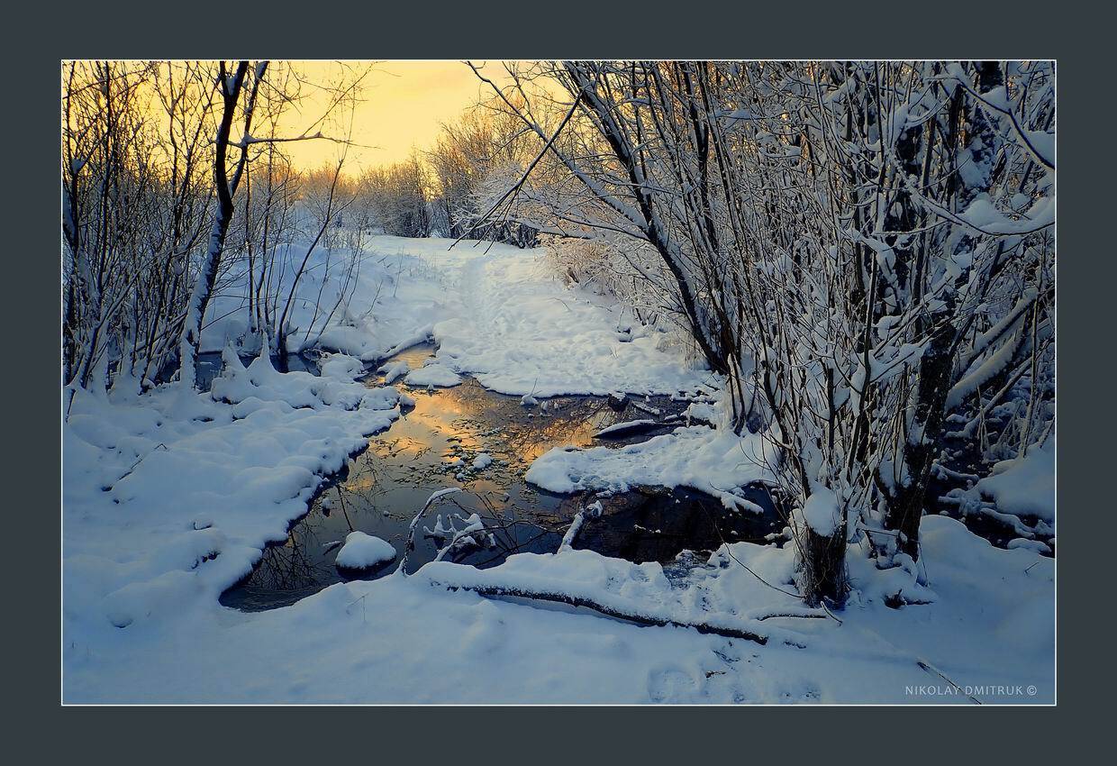 пейзаж, николай дмитрук