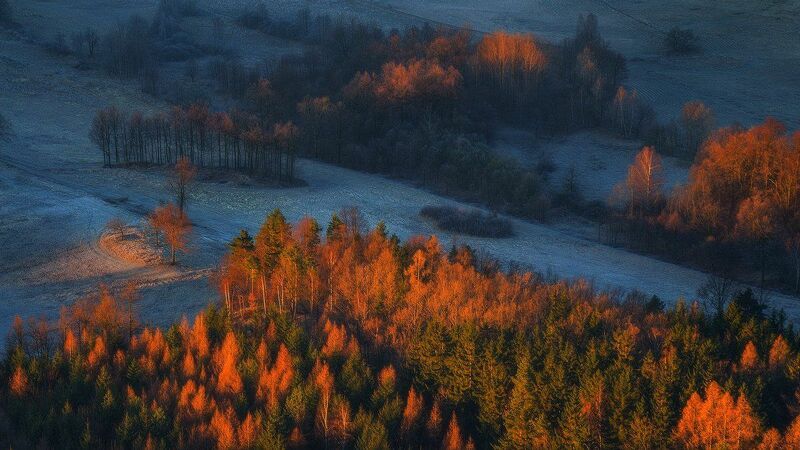 поздняя осень дождь. стих на английском сентябрь. осень дождь. поздняя осень дождь. дождливая осень.