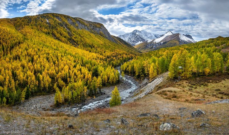 Алтай, горная река, Северо-Чуйский хребет, Маашей Мажой фото превью