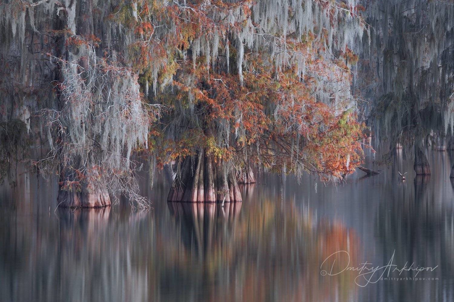 , Дмитрий Архипов