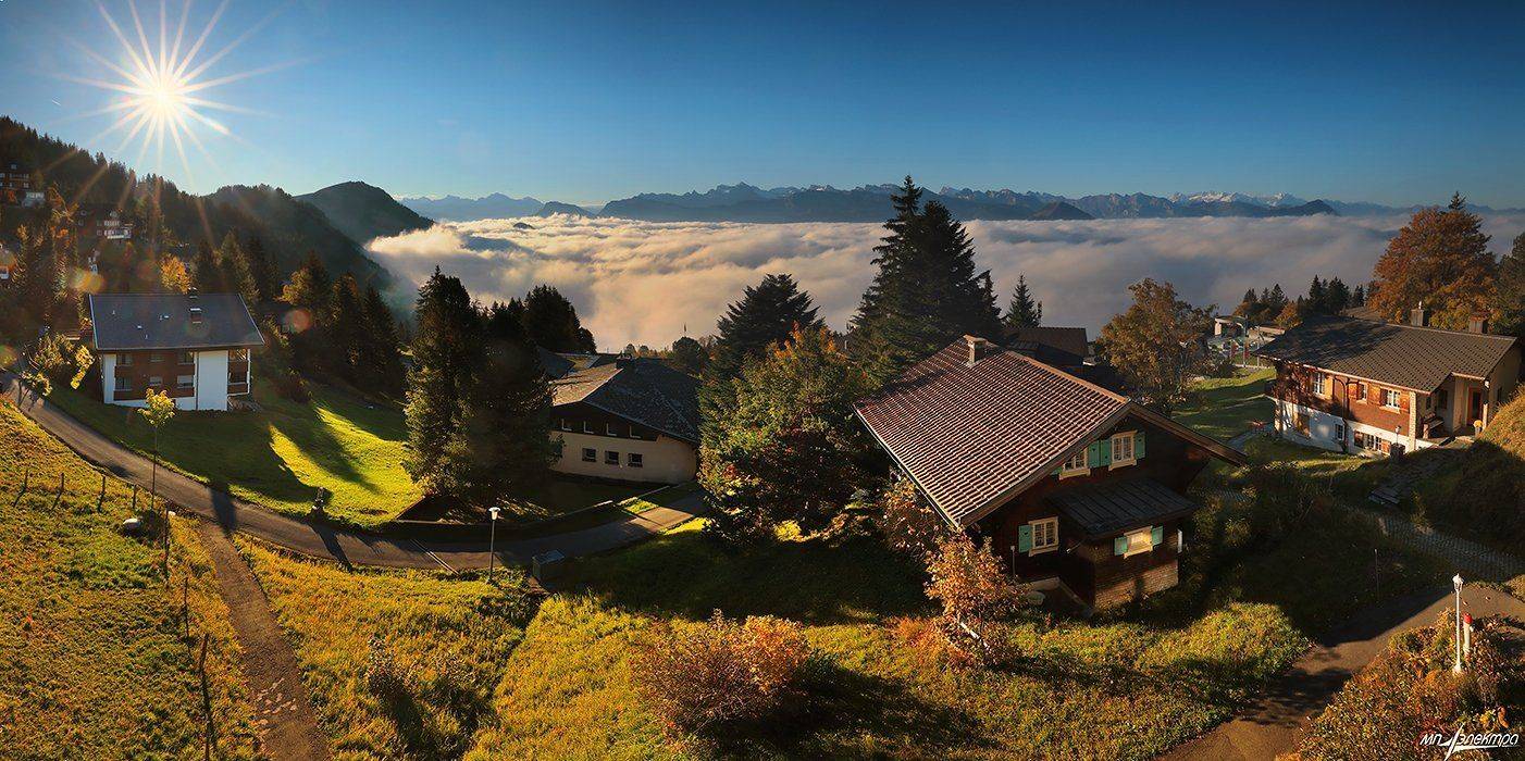 swiss, Матвеев Николай