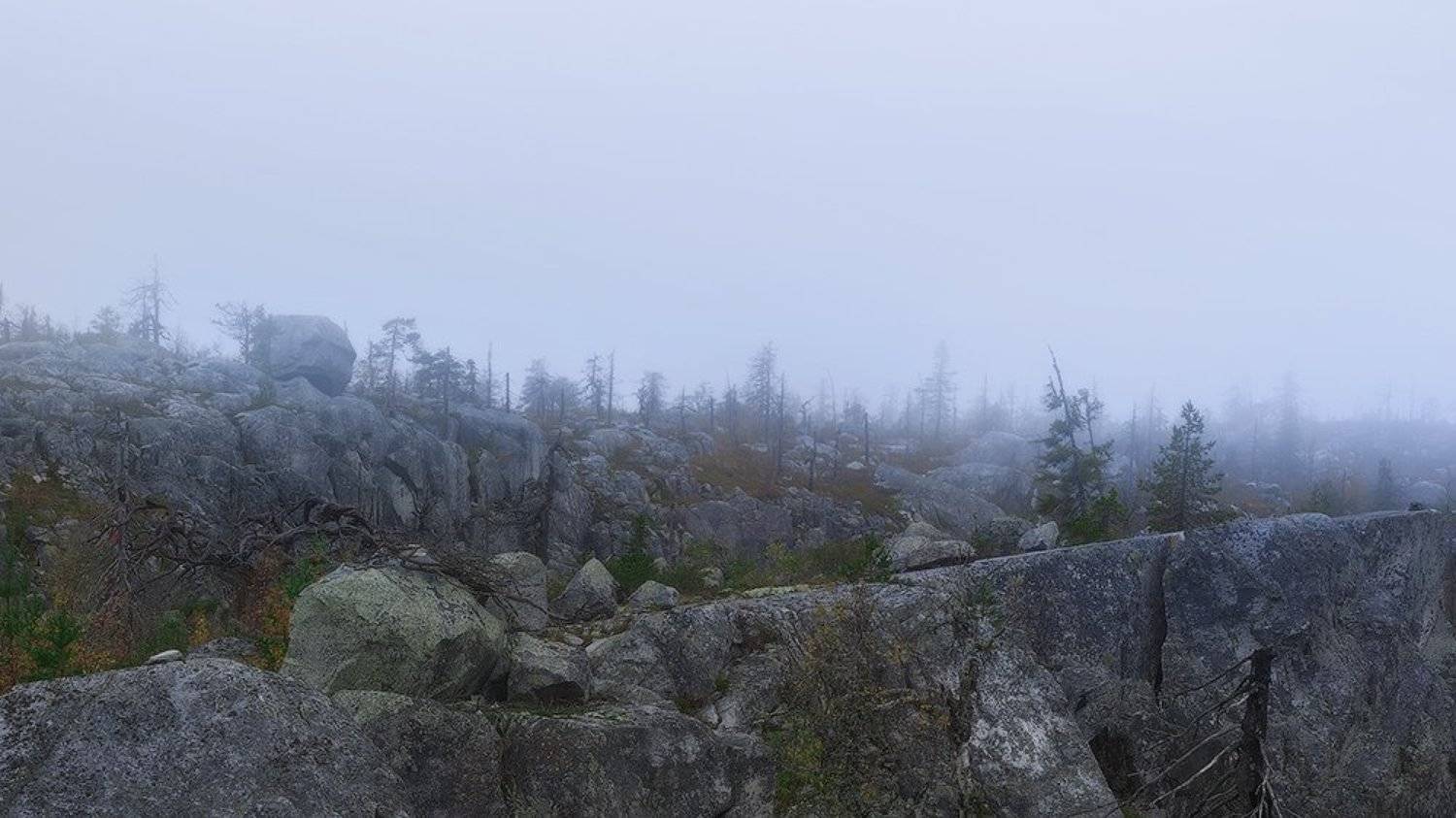 #dervod, Демид Волков