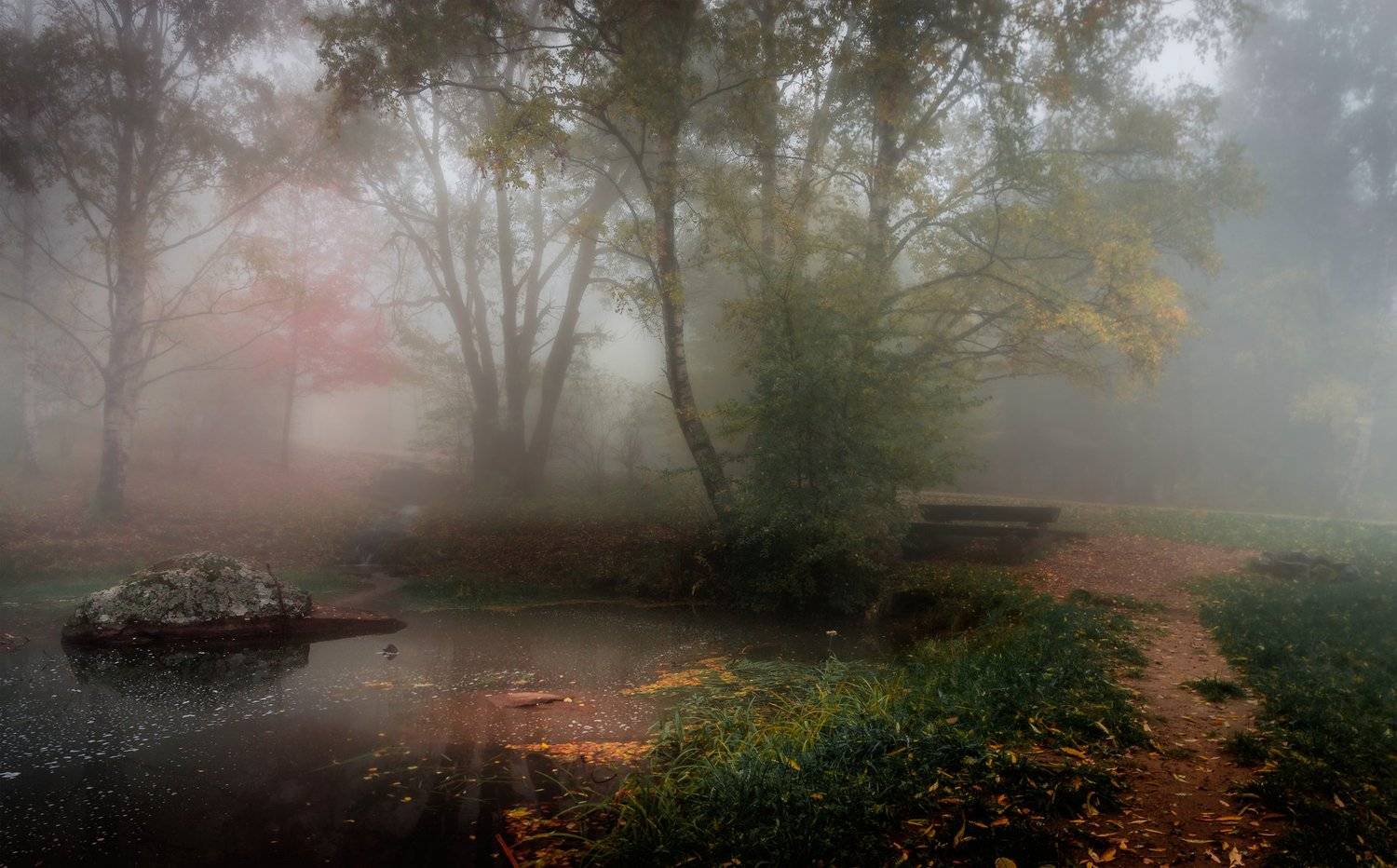 landscape, nature, scenery, forest, wood, mist, misty, fog, foggy, mountain, vitosha, bulgaria, туман, лес, Александър Александров